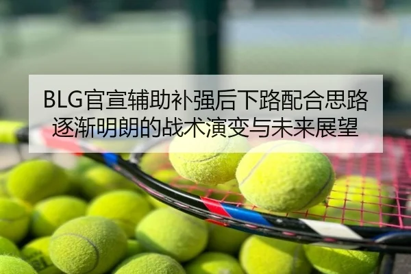 BLG官宣辅助补强后下路配合思路逐渐明朗的战术演变与未来展望 - Kaiyun